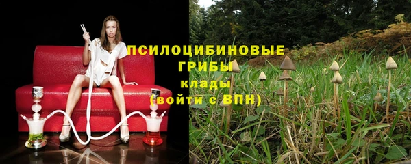 СК Арсеньев