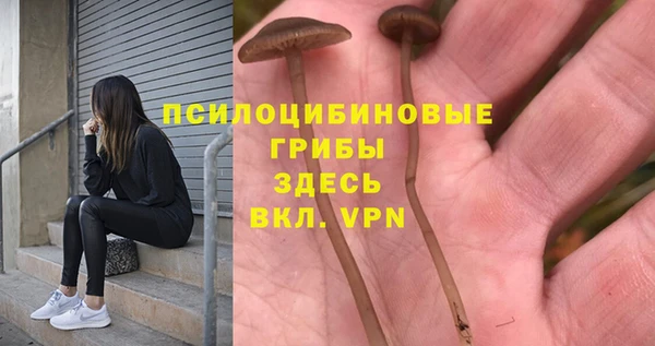 СК Арсеньев