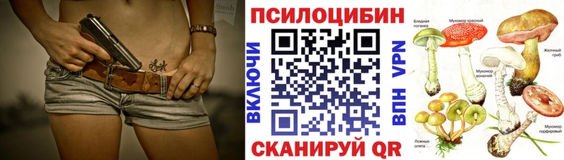 закладка  Верея  Псилоцибиновые грибы Magic Shrooms 