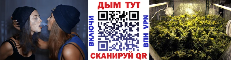 Бошки Шишки ГИДРОПОН  Верея 